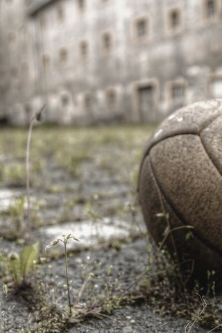 Обои футбол, спорт, мяч, двор, football, sport, the ball, yard разрешение 5441x3343 Загрузить