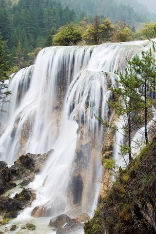 Обои деревья, лес, водопад, китай, trees, forest, waterfall, china разрешение 1920x1260 Загрузить