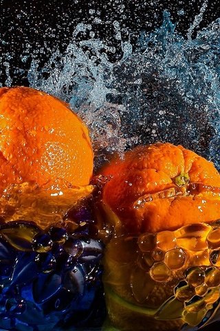 Обои вода, фрукты, апельсины, цитрусы, water, fruit, oranges, citrus разрешение 2048x1293 Загрузить