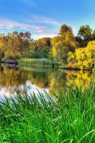 Обои небо, трава, деревья, озеро, зелень, отражение, ветки, осень, the sky, grass, trees, lake, greens, reflection, branches, autumn разрешение 1920x1080 Загрузить