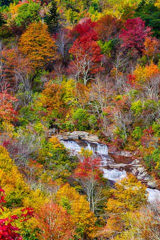 Обои деревья, осень, поток, речка, trees, autumn, stream, river разрешение 2048x1365 Загрузить