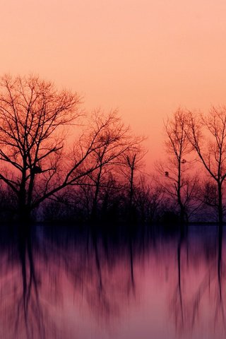 Обои небо, деревья, вода, озеро, закат, отражение, осень, the sky, trees, water, lake, sunset, reflection, autumn разрешение 1920x1200 Загрузить