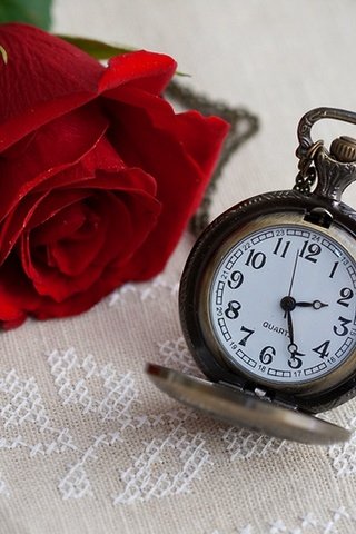 Обои цветок, роза, часы, время, времени, циферблат, цветком, clock, flower, rose, watch, time, dial разрешение 1920x1282 Загрузить