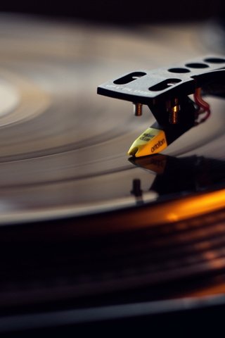 Обои макро, музыка, винил, macro, music, vinyl разрешение 2560x1600 Загрузить