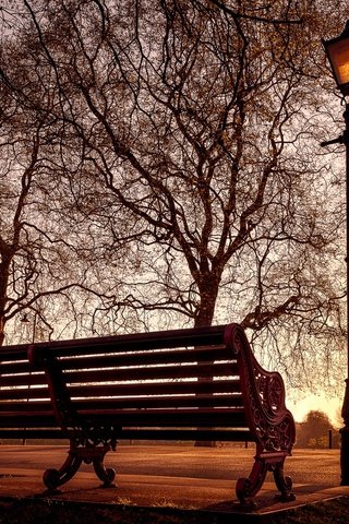 Обои деревья, парк, фонарь, скамейка, trees, park, lantern, bench разрешение 2048x1296 Загрузить