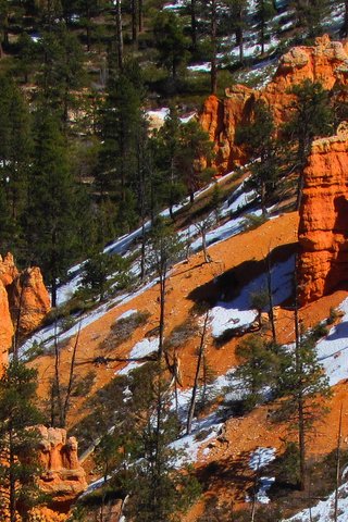 Обои деревья, скалы, снег, пейзаж, каньон, сша, штат юта, trees, rocks, snow, landscape, canyon, usa, utah разрешение 2048x1141 Загрузить