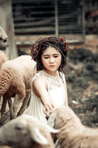 Обои животные, дети, девочка, забота, овцы, венок, animals, children, girl, care, sheep, wreath разрешение 3681x2318 Загрузить