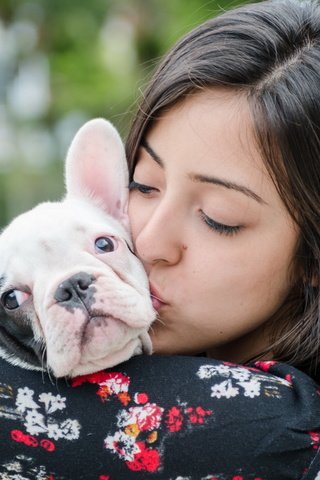 Обои девушка, собака, дружба, французский бульдог, girl, dog, friendship, french bulldog разрешение 2560x1600 Загрузить