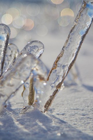 Обои снег, зима, макро, лёд, боке, snow, winter, macro, ice, bokeh разрешение 2048x1365 Загрузить