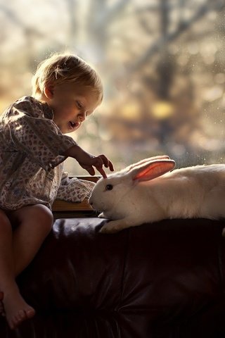Обои белый, ребенок, кролик, окно, мальчик, детство, доброта, white, child, rabbit, window, boy, childhood, kindness разрешение 2048x1387 Загрузить