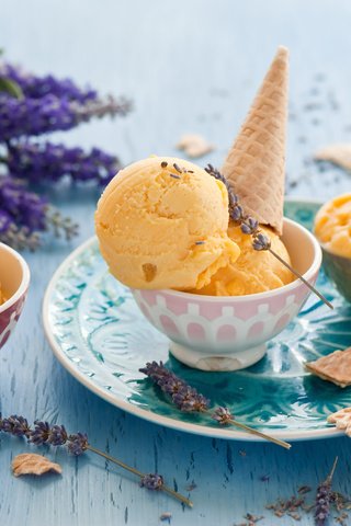 Обои лаванда, мороженое, рожок, пиалы, lavender, ice cream, horn, bowls разрешение 4256x2832 Загрузить