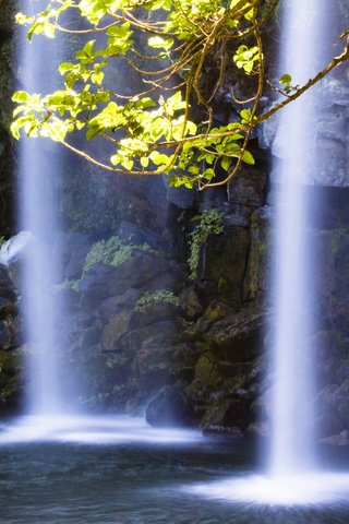 Обои свет, вода, скалы, камни, ветки, водопад, light, water, rocks, stones, branches, waterfall разрешение 3672x2537 Загрузить