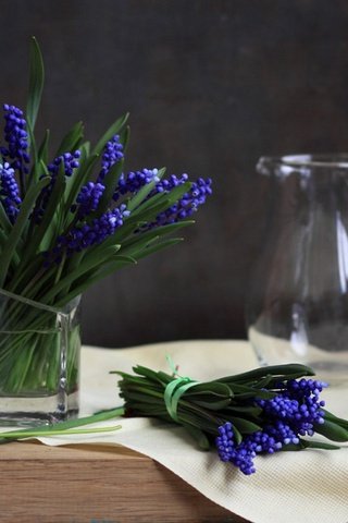 Обои цветы, букет, синие, натюрморт, мускари, flowers, bouquet, blue, still life, muscari разрешение 1920x1281 Загрузить