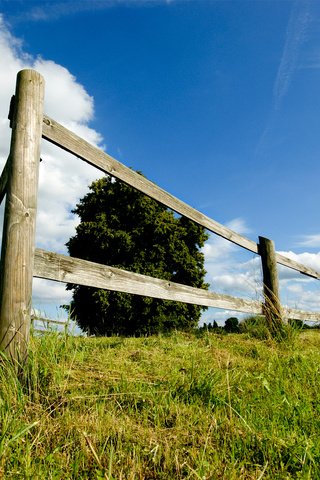 Обои небо, трава, дерево, пейзаж, поле, забор, луг, the sky, grass, tree, landscape, field, the fence, meadow разрешение 1920x1200 Загрузить