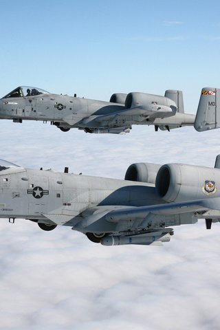 Обои небо, облака, пара, a-10, штурмовики, thunderbolt ii, the sky, clouds, pair, stormtroopers разрешение 2560x1600 Загрузить