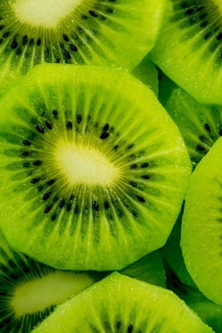 Обои зелёный, макро, фрукты, ломтики, киви, green, macro, fruit, slices, kiwi разрешение 2048x1279 Загрузить