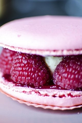 Обои малина, ягоды, сладкое, десерт, пирожное, raspberry, berries, sweet, dessert, cake разрешение 2048x1357 Загрузить
