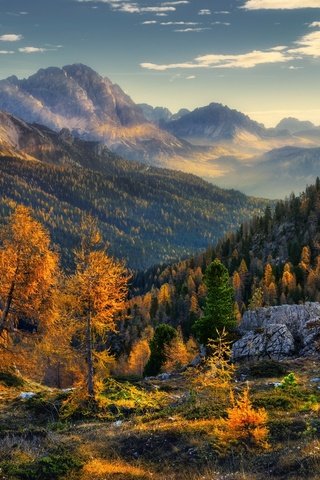 Обои деревья, горы, природа, лес, пейзаж, осень, trees, mountains, nature, forest, landscape, autumn разрешение 2000x1335 Загрузить