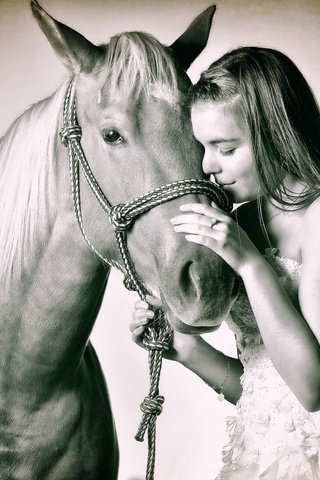 Обои лошадь, девушка, настроение, horse, girl, mood разрешение 2560x1611 Загрузить