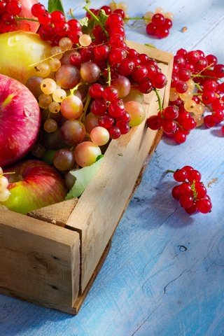 Обои виноград, fruits, красная, абрикосы, фрукты, парное, яблоки, ягоды, лесные ягоды, белая, смородина, ящик, box, grapes, red, apricots, fruit, fresh, apples, berries, white, currants разрешение 2880x1800 Загрузить
