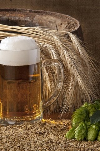 Обои колосья, кружка, пиво, пена, ячмень, хмель, бочонок, ears, mug, beer, foam, barley, hops, barrel разрешение 1920x1480 Загрузить