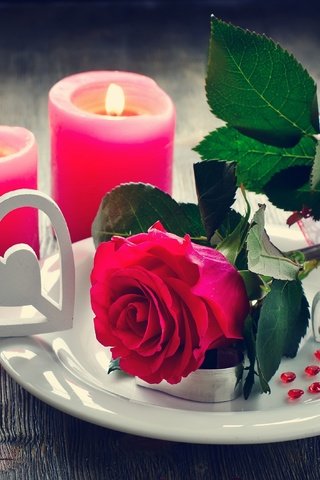 Обои цветы, свечи, розы, лепестки, любовь, день святого валентина, flowers, candles, roses, petals, love, valentine's day разрешение 2880x2109 Загрузить