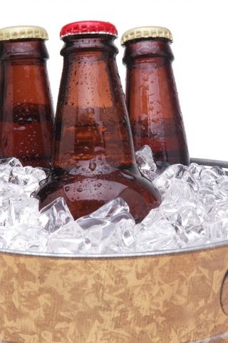 Обои кубики, белый фон, пиво, ведро, бутылки лёд, cubes, white background, beer, bucket, bottle ice разрешение 1920x1276 Загрузить