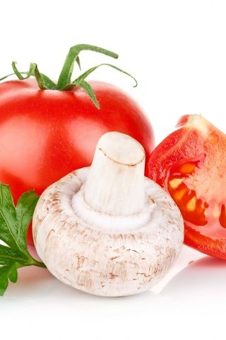 Обои гриб, белый фон, овощи, помидоры, петрушка, шампиньон, mushroom, white background, vegetables, tomatoes, parsley, champignon разрешение 1920x1395 Загрузить