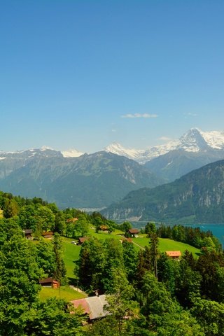 Обои деревья, река, горы, домики, швейцария, beatenberg, trees, river, mountains, houses, switzerland разрешение 3000x2000 Загрузить