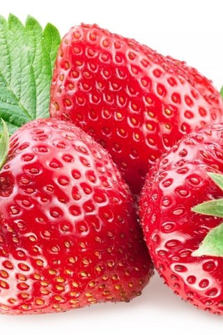 Обои листья, ягода, красная, клубника, белый фон, leaves, berry, red, strawberry, white background разрешение 1920x1294 Загрузить