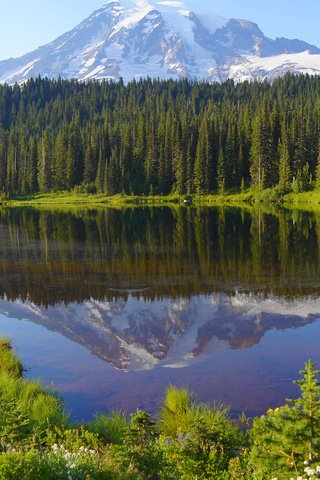 Обои озеро, горы, снег, природа, лес, отражение, lake, mountains, snow, nature, forest, reflection разрешение 1920x1200 Загрузить