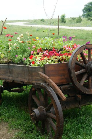 Обои цветы, природа, поле, телега, flowers, nature, field, cart разрешение 2560x1600 Загрузить