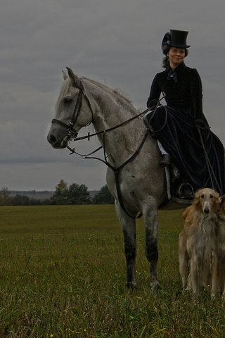 Обои лошадь, природа, костюм, шляпа, собаки, всадница, дама, horse, nature, costume, hat, dogs, rider, lady разрешение 1920x1200 Загрузить