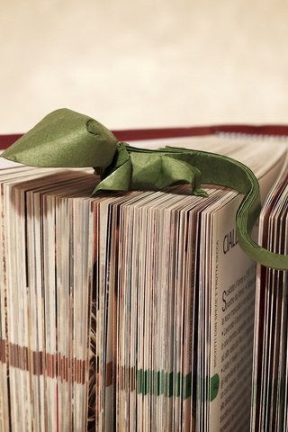 Обои фон, бумага, ящерица, оригами, зеленая, книга, переплет, страницы, background, paper, lizard, origami, green, book, cover, page разрешение 1920x1279 Загрузить