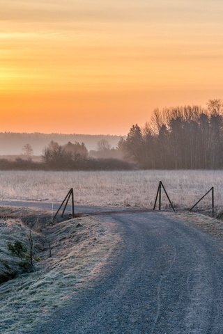 Обои дорога, снег, закат, зима, пейзаж, road, snow, sunset, winter, landscape разрешение 2560x1600 Загрузить