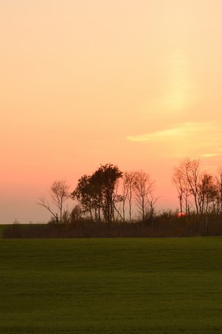 Обои закат, пейзаж, поле, sunset, landscape, field разрешение 2560x1600 Загрузить