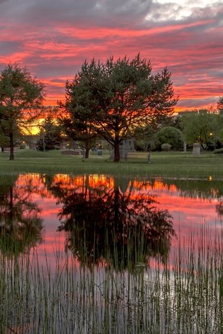 Обои деревья, закат, отражение озеро, trees, sunset, reflection lake разрешение 2880x1920 Загрузить