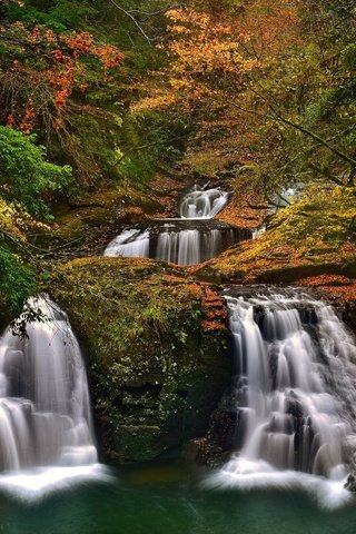 Обои деревья, лес, осень, япония, водопады, каскад, набари, trees, forest, autumn, japan, waterfalls, cascade, nabari разрешение 2400x1554 Загрузить