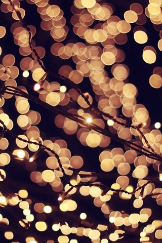 Обои свет, боке, ночь, огни, вечер, новый год, праздники, рождество, гирлянда, light, bokeh, night, lights, the evening, new year, holidays, christmas, garland разрешение 2048x1365 Загрузить