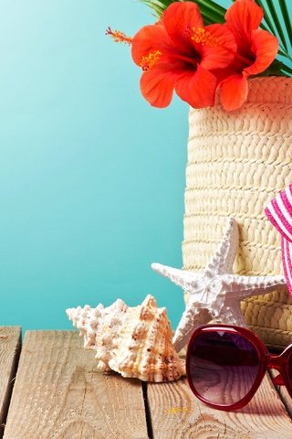 Обои пляж, каникулы, лето, сланцы, очки, летнее, аксессуаров, отдых, вс, шляпа, морская звезда, песка, beach, vacation, summer, slates, glasses, accessories, stay, sun, hat, starfish, sand разрешение 2880x2171 Загрузить