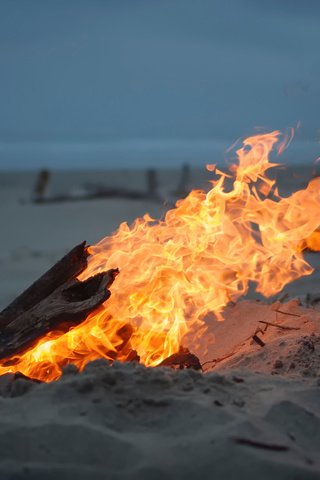 Обои песок, пляж, огонь, костёр, sand, beach, fire, the fire разрешение 2048x1356 Загрузить