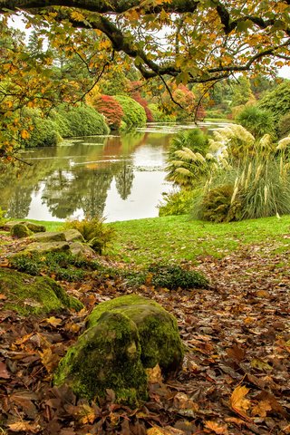 Обои деревья, озеро, пейзаж, осень, middle lake, sheffield park, trees, lake, landscape, autumn разрешение 2048x1356 Загрузить