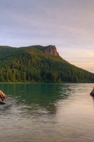 Обои деревья, озеро, природа, утро, trees, lake, nature, morning разрешение 2048x1152 Загрузить