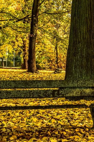 Обои парк, осень, скамья, park, autumn, bench разрешение 1920x1080 Загрузить