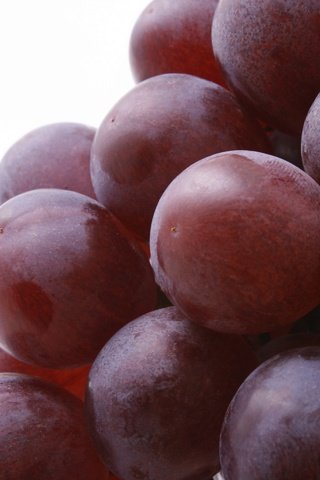 Обои виноград, красный, плоды, краcный, сок, grapes, red, fruit, juice разрешение 2880x1920 Загрузить