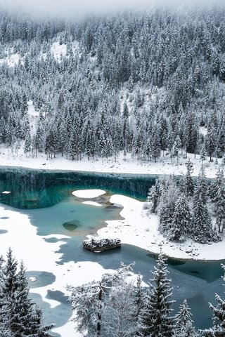 Обои снег, лес, зима, швейцария, озеро каума, флимс, snow, forest, winter, switzerland, lake cauma, flims разрешение 3000x2003 Загрузить