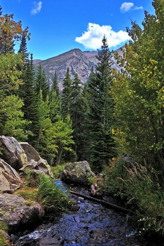 Обои деревья, река, горы, скалы, лес, пейзаж, осень, rocky mountain national park, trees, river, mountains, rocks, forest, landscape, autumn разрешение 2880x1908 Загрузить