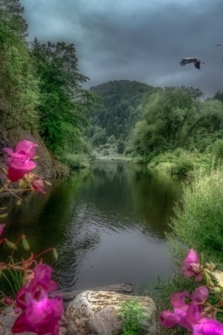 Обои деревья, река, горы, пейзаж, австрия, журавли, river kamp, trees, river, mountains, landscape, austria, cranes разрешение 2880x1922 Загрузить