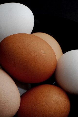 Обои фон, еда, яйца, куриные, background, food, eggs, chicken разрешение 2426x1632 Загрузить