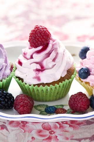 Обои малина, черника, сладкое, выпечка, десерт, ежевика, кексы, raspberry, blueberries, sweet, cakes, dessert, blackberry, cupcakes разрешение 2000x1313 Загрузить